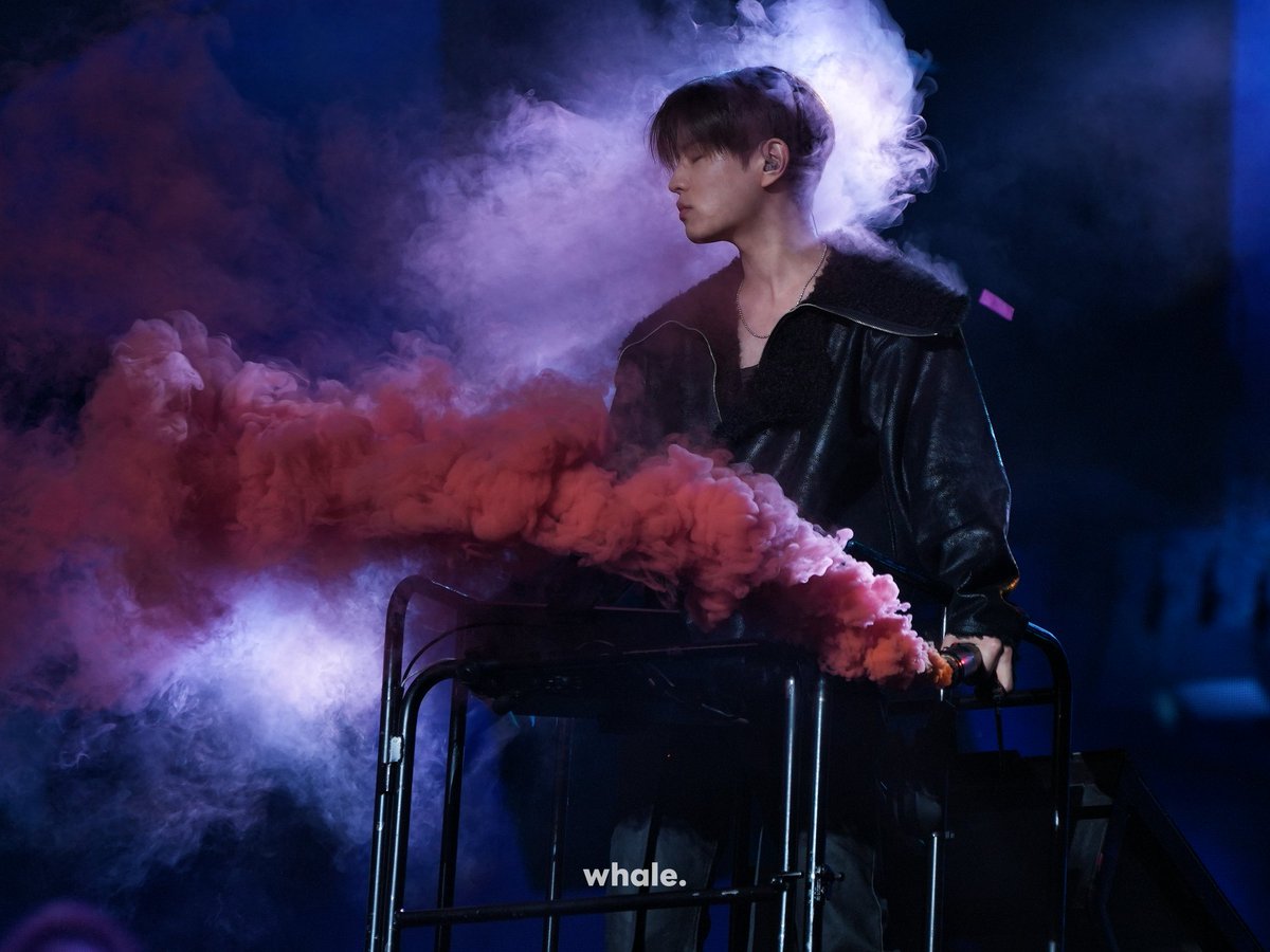 𝙬𝙝𝙖𝙡𝙚. tweet media