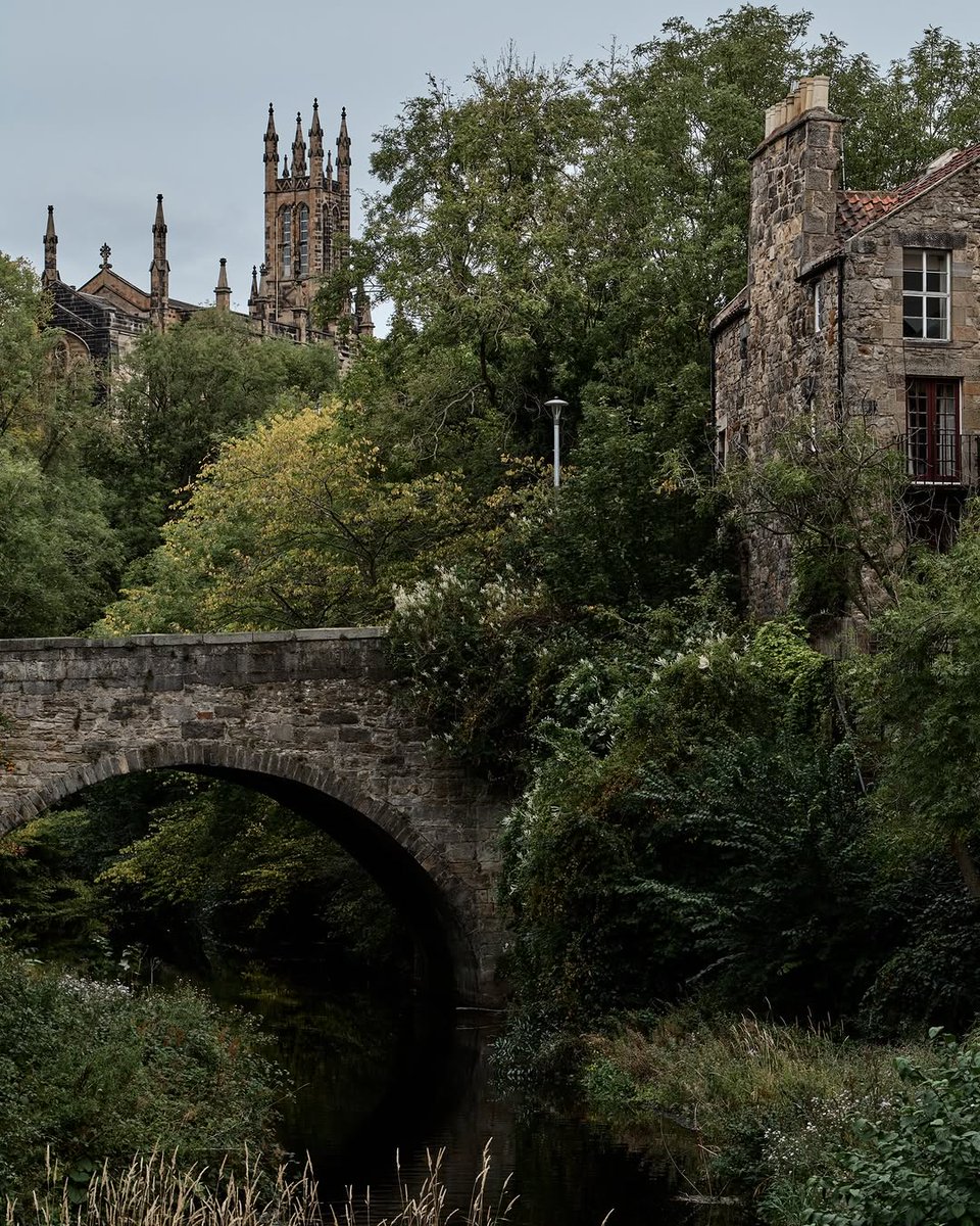 Vibrant Aesthetics tweet media