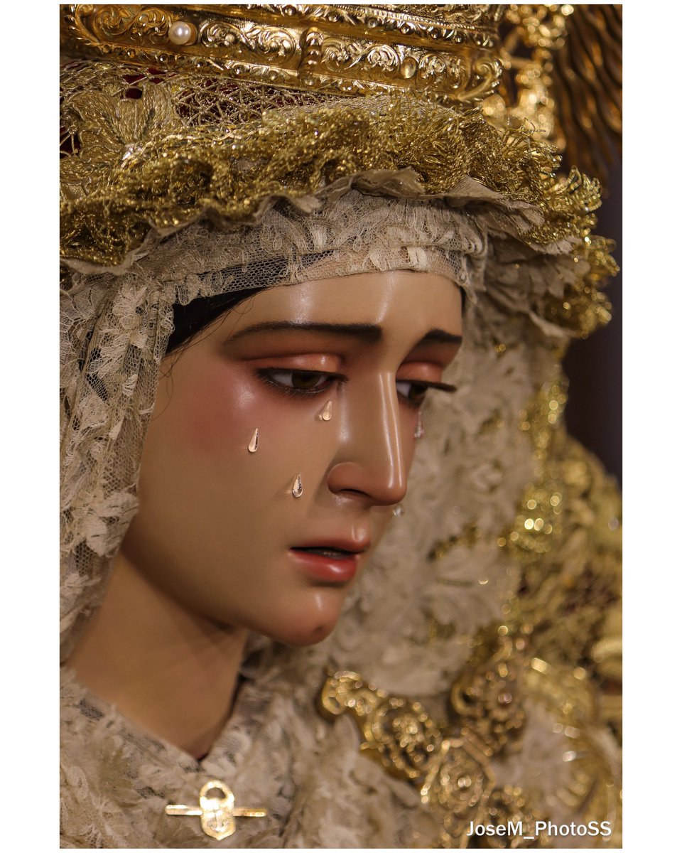 JoseM_PhotoSS tweet media