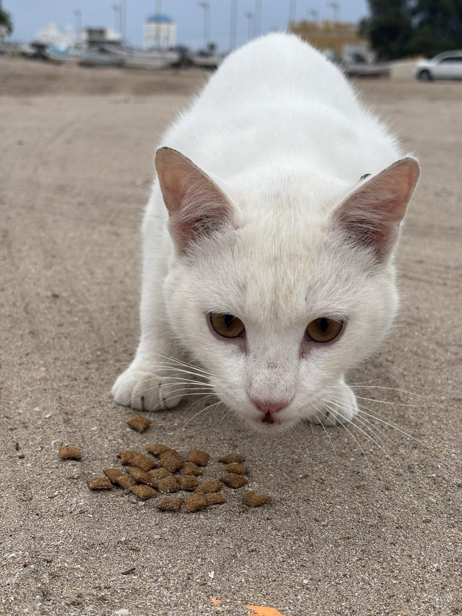 #متصدر_لا_تكلمني tweet media