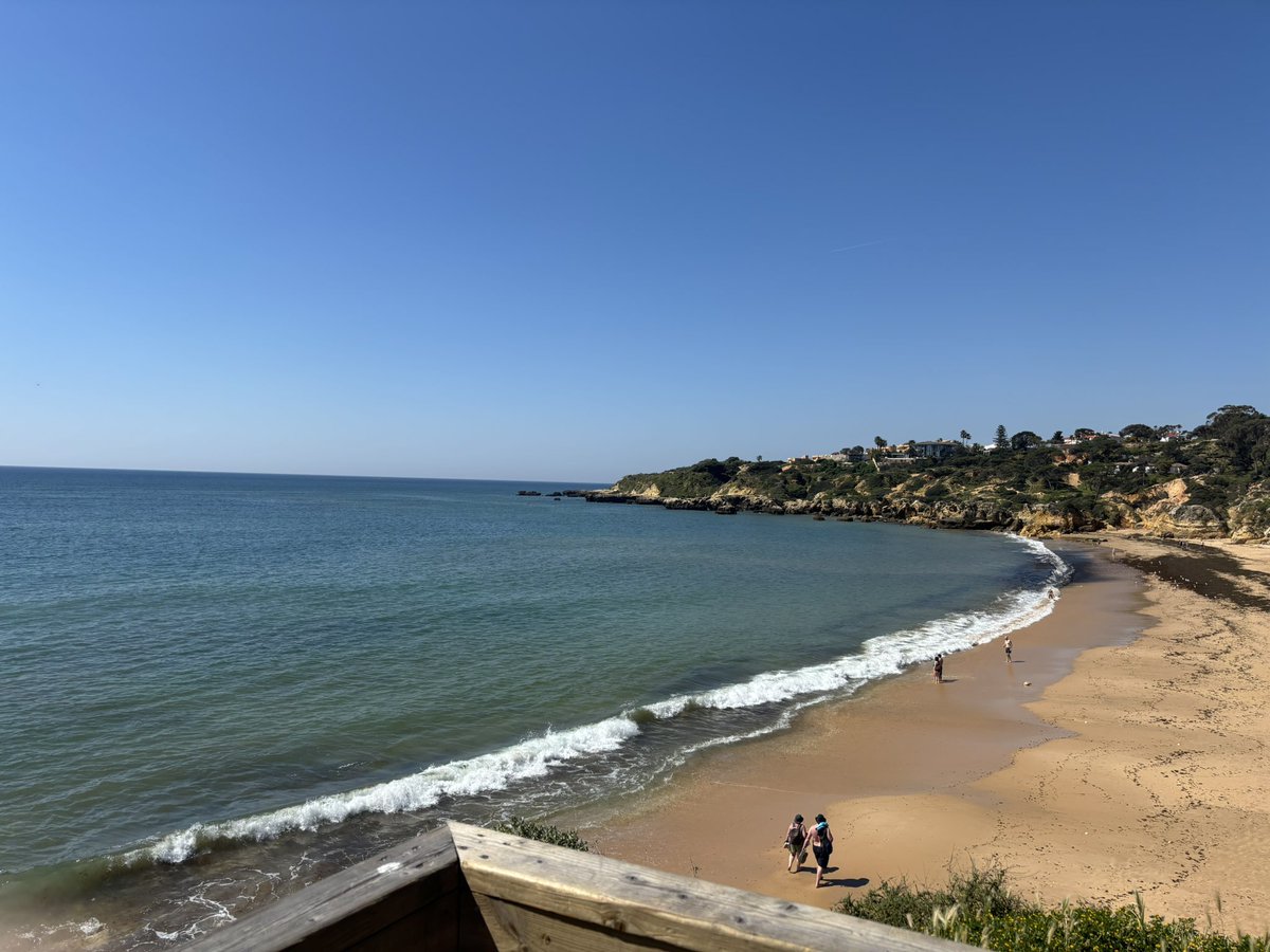 Bob Cameron tweet media