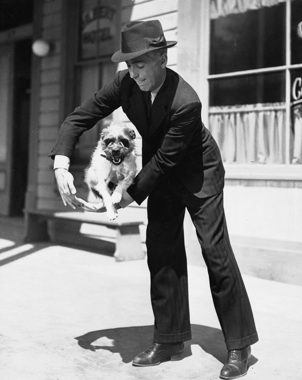 Molly McNair tweet media