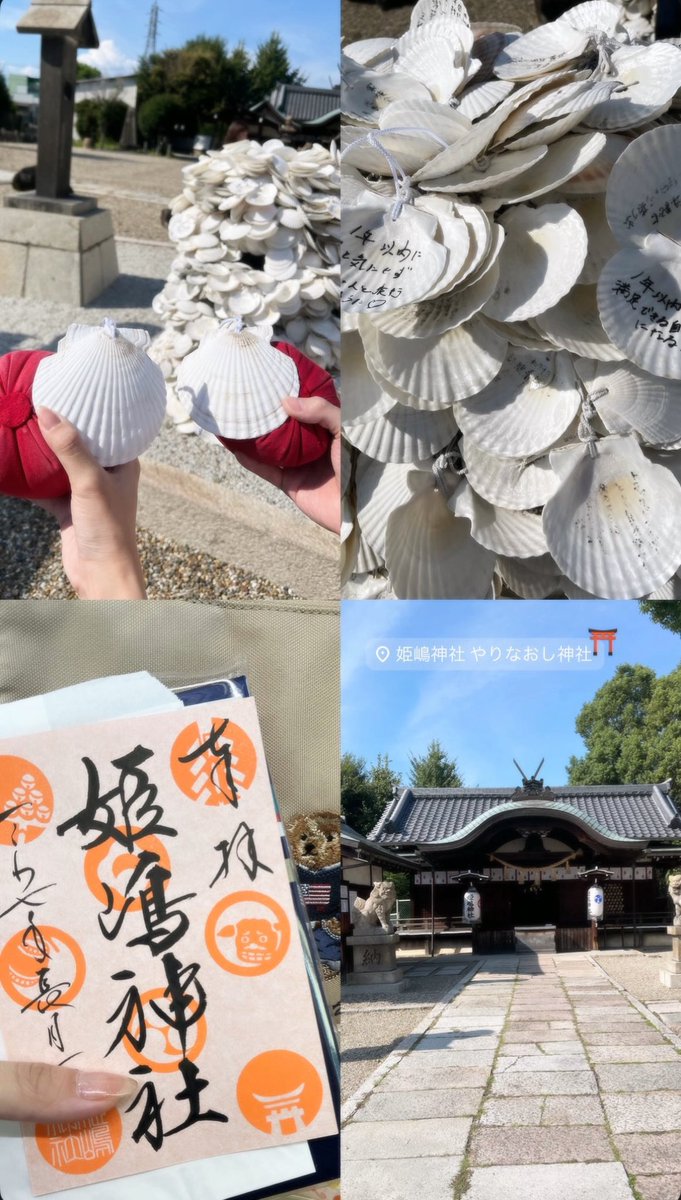 𝓵𝓪𝓽𝓽𝓮 tweet media