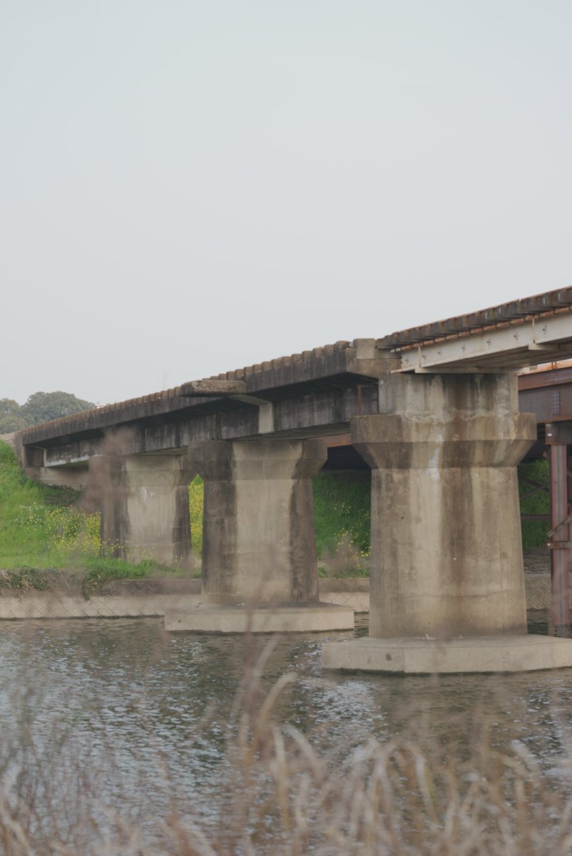 ケイツ/CATES tweet media