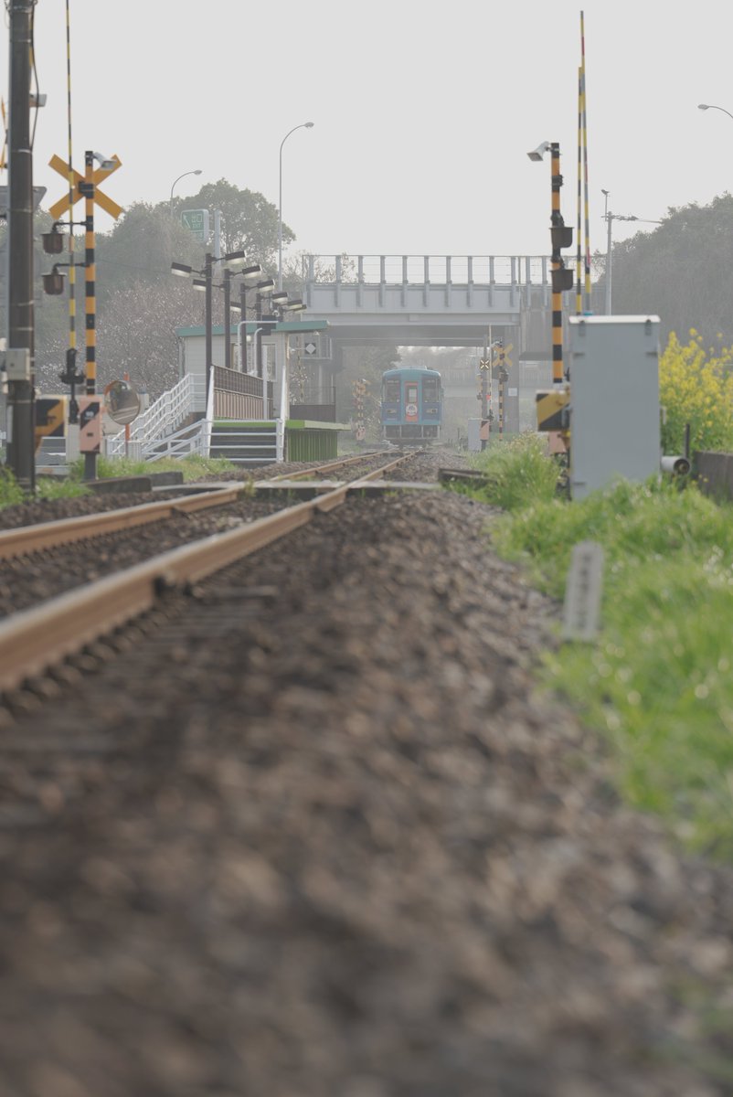 ケイツ/CATES tweet media