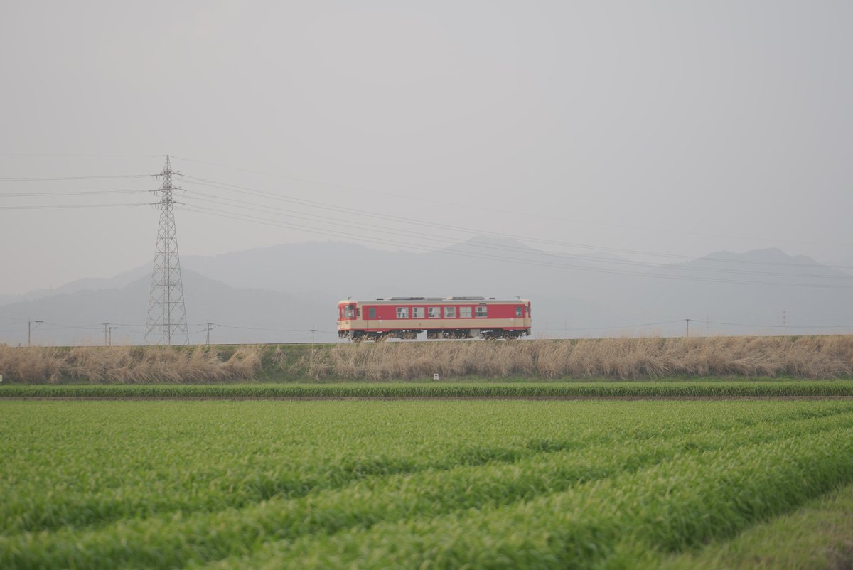 ケイツ/CATES tweet media