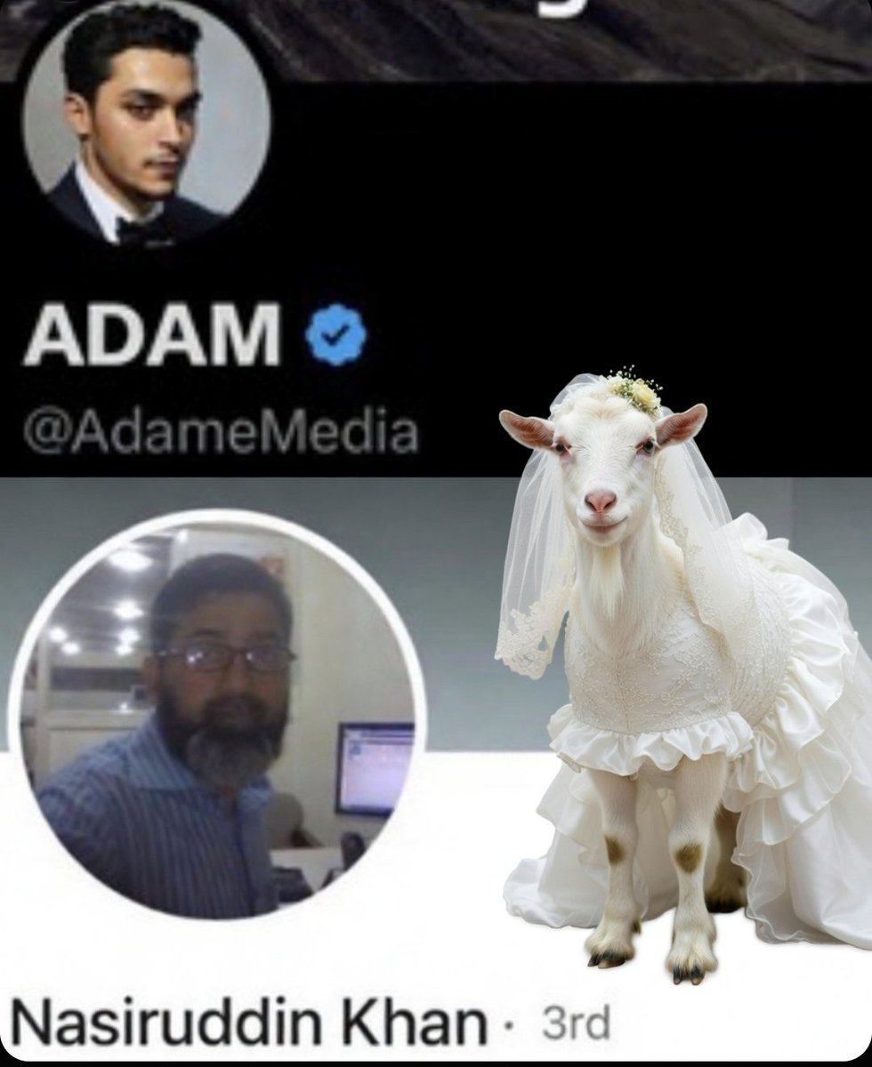 ThisISallGOOD tweet media