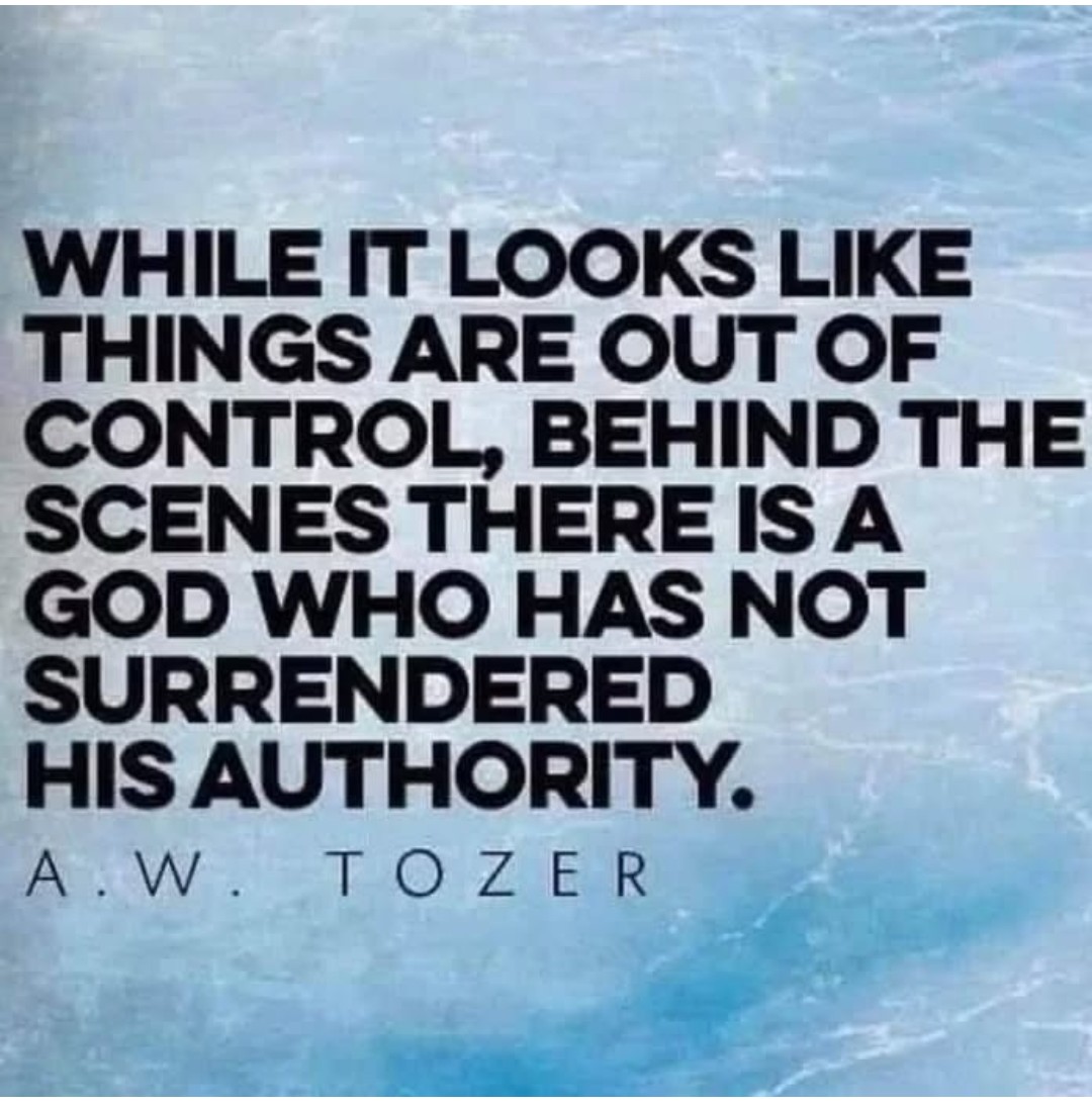 Cherrilynn Bisbano tweet media