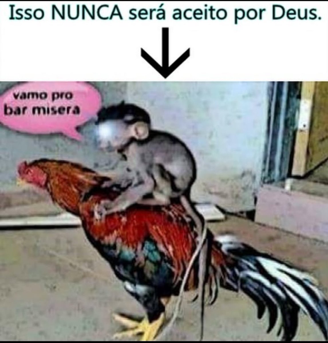 Daniels Maneiro da Silva tweet media