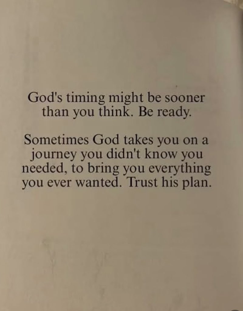 Adele Tamburo tweet media