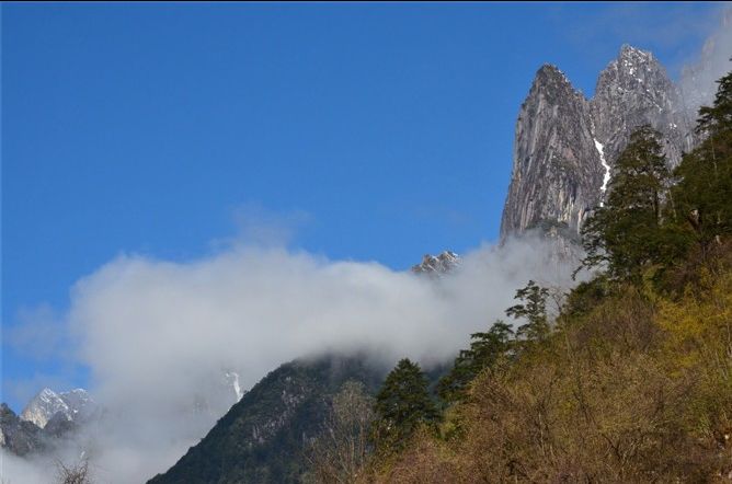 MercerFit tweet media