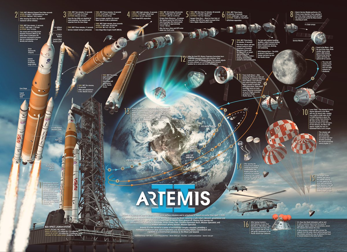 Tony Bela - InfographicTony tweet media