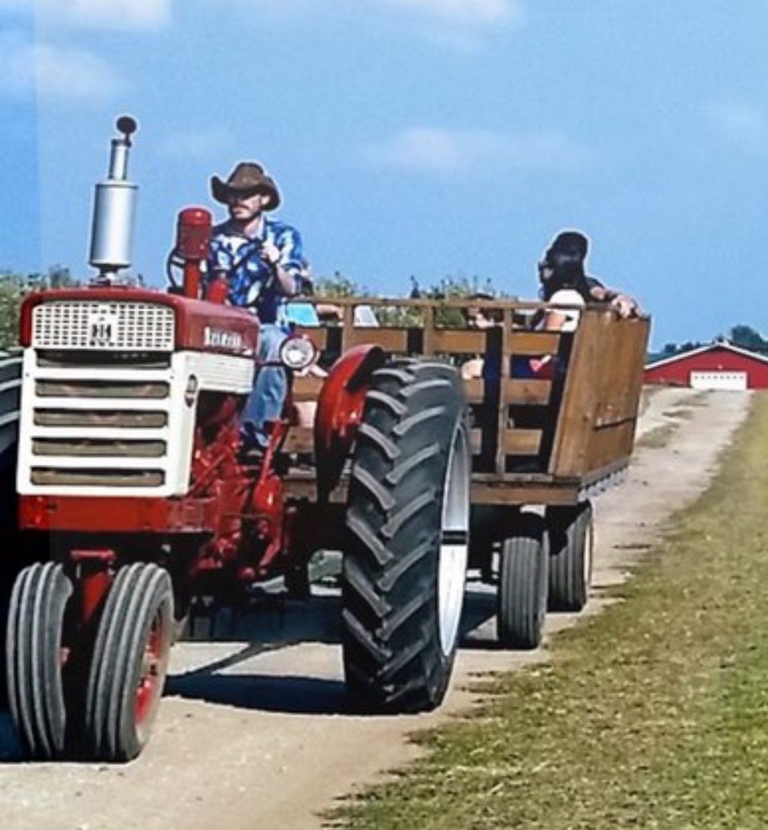 🌲Kojootti 🌲🔜 AnthrOhio tweet media