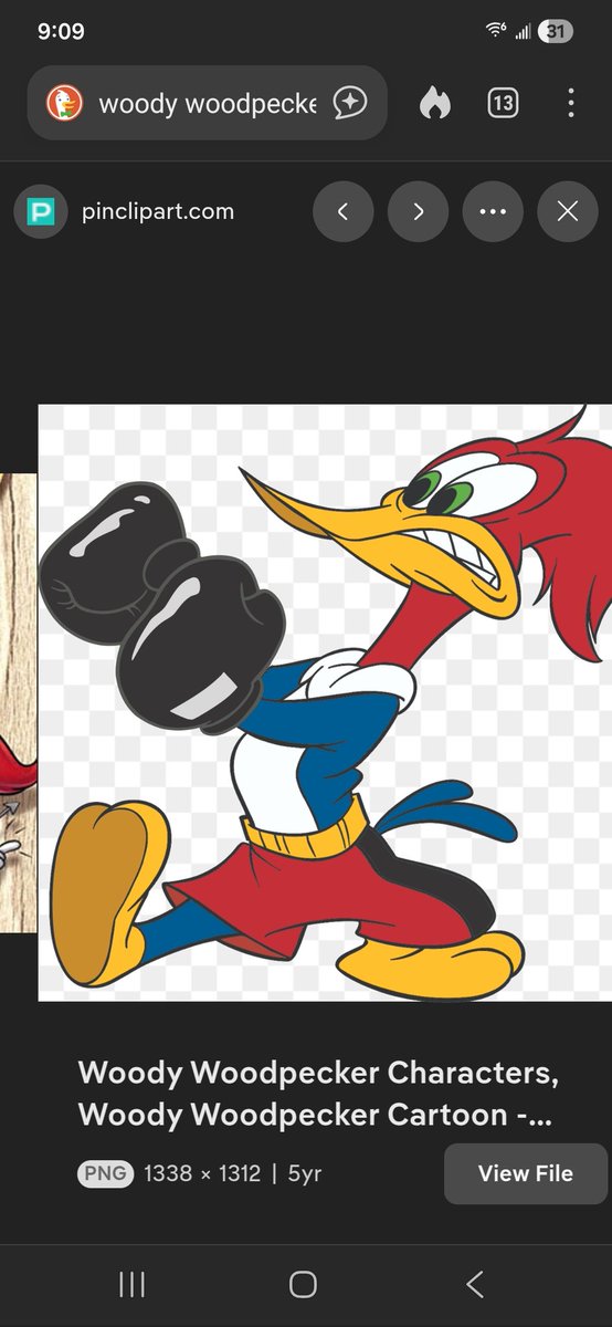 pappaCoy tweet media