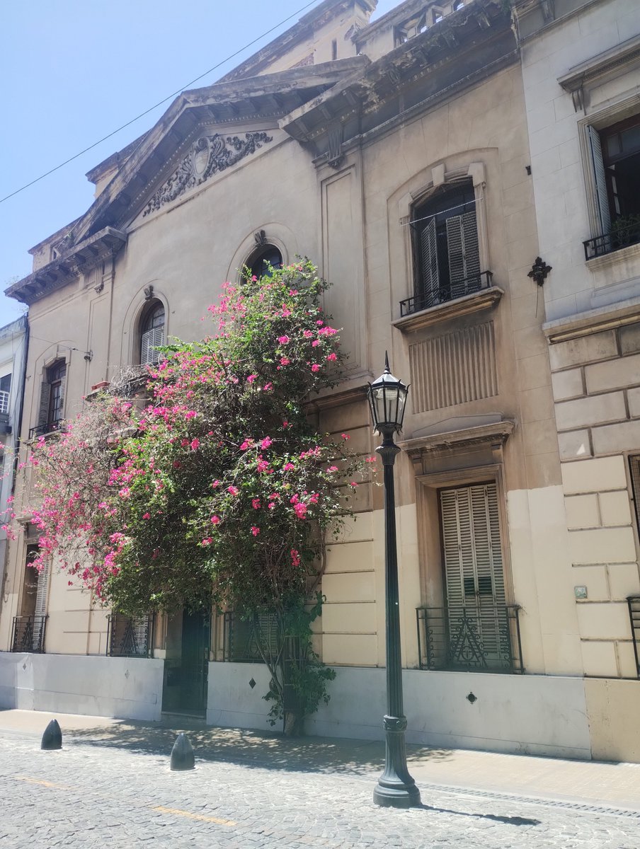 Damian Pablo Ballester tweet media