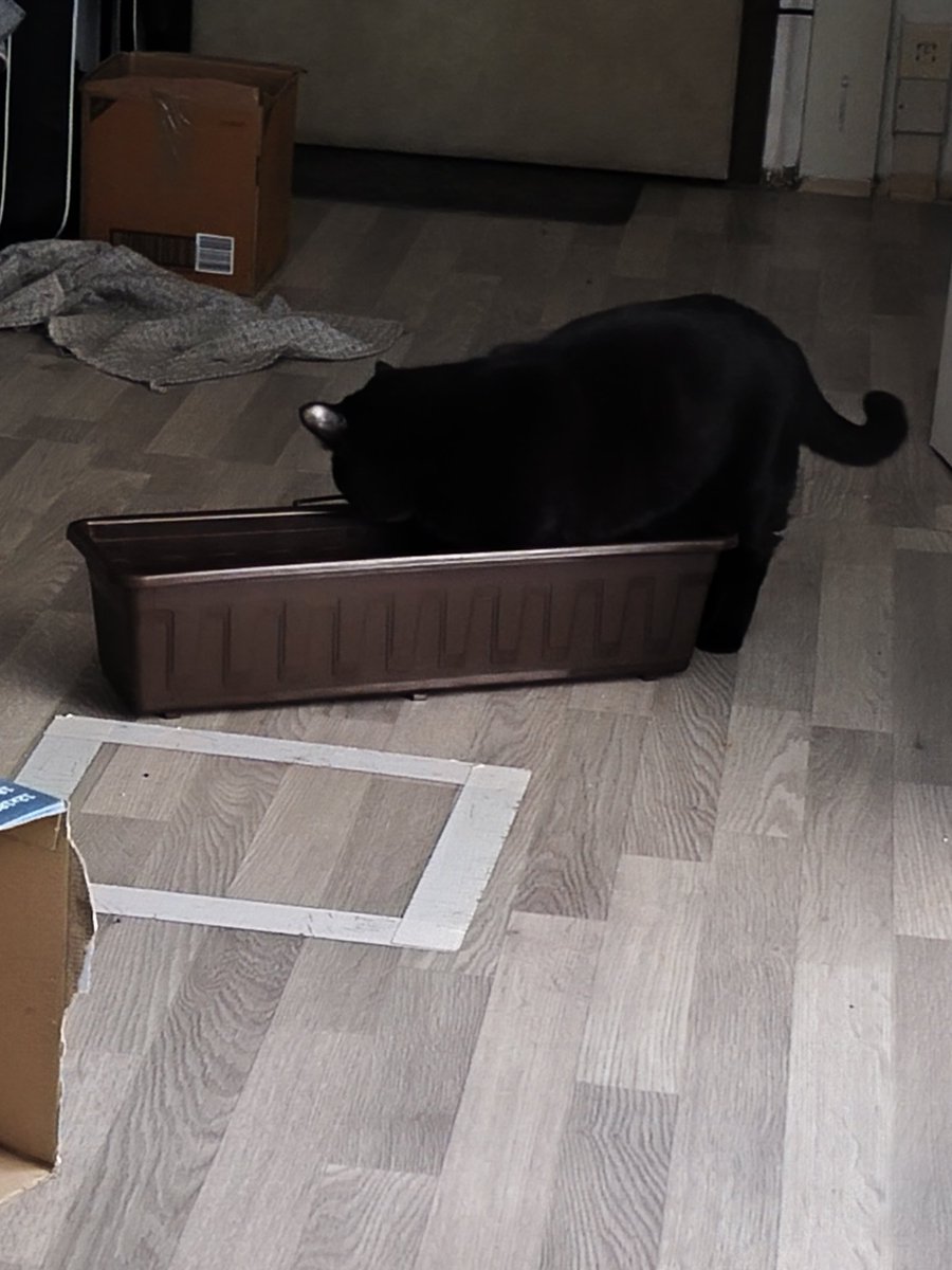 Ha našel jsem ji. Semínka na hlínu, nebo trošku do hloubky? What could possibly go wrong...