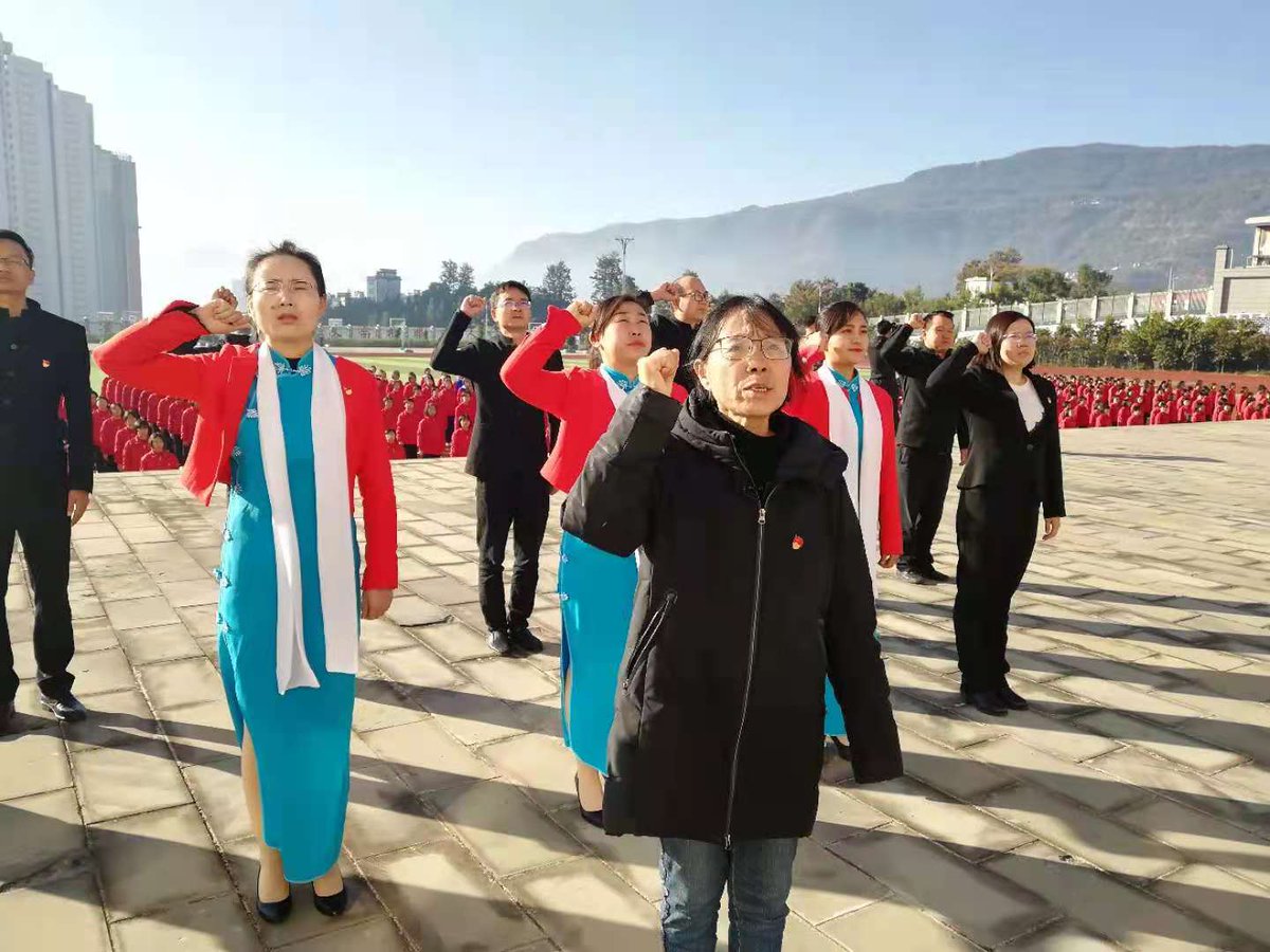 Diana Apostol tweet media