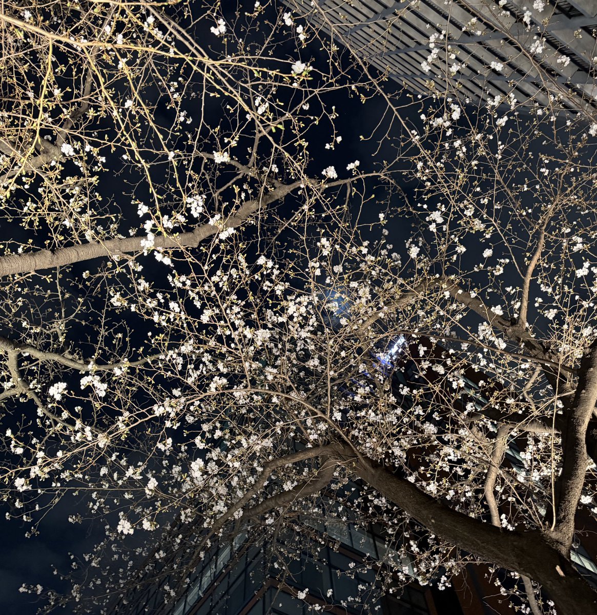 ノート tweet media