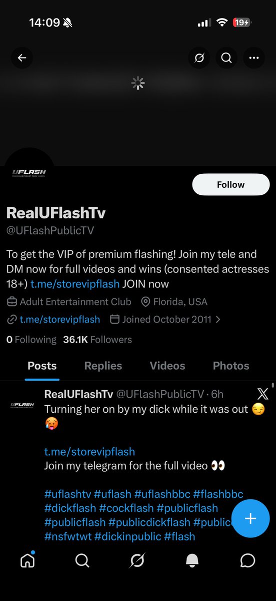 “Knights of Kilmainham” tweet media