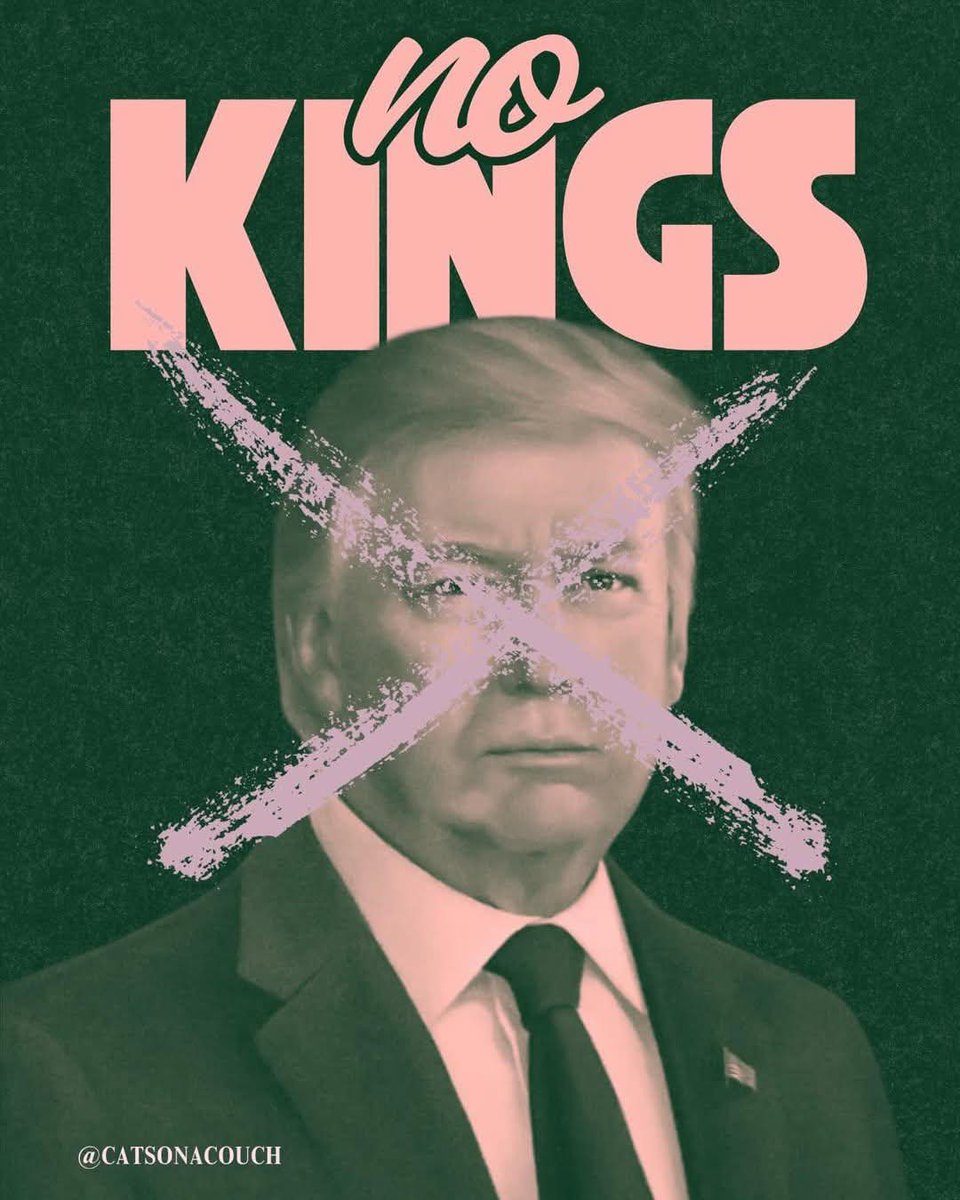 Pissed off American Voter💙💙💙🌊🌊🌊🌊 tweet media