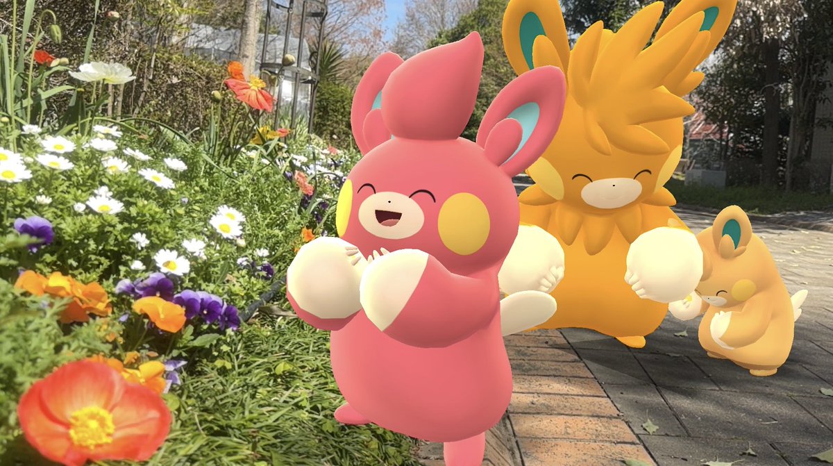 あこ︎@ポケGO民 tweet media