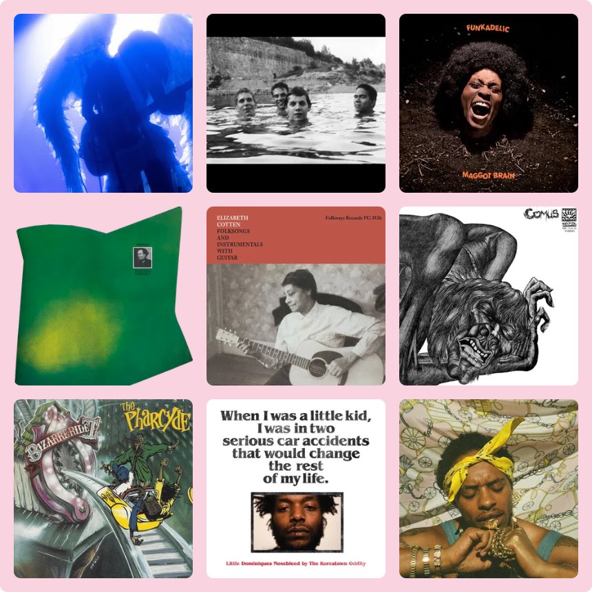 the stella tweet media