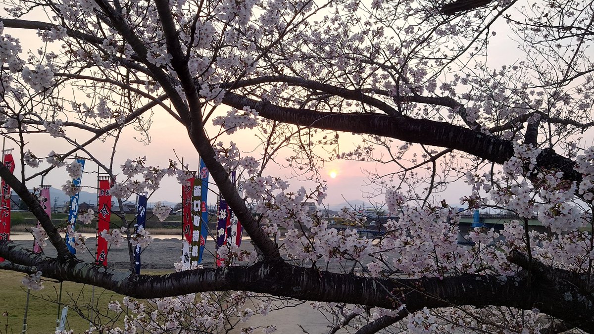 ねずみいろの壜詰 tweet media