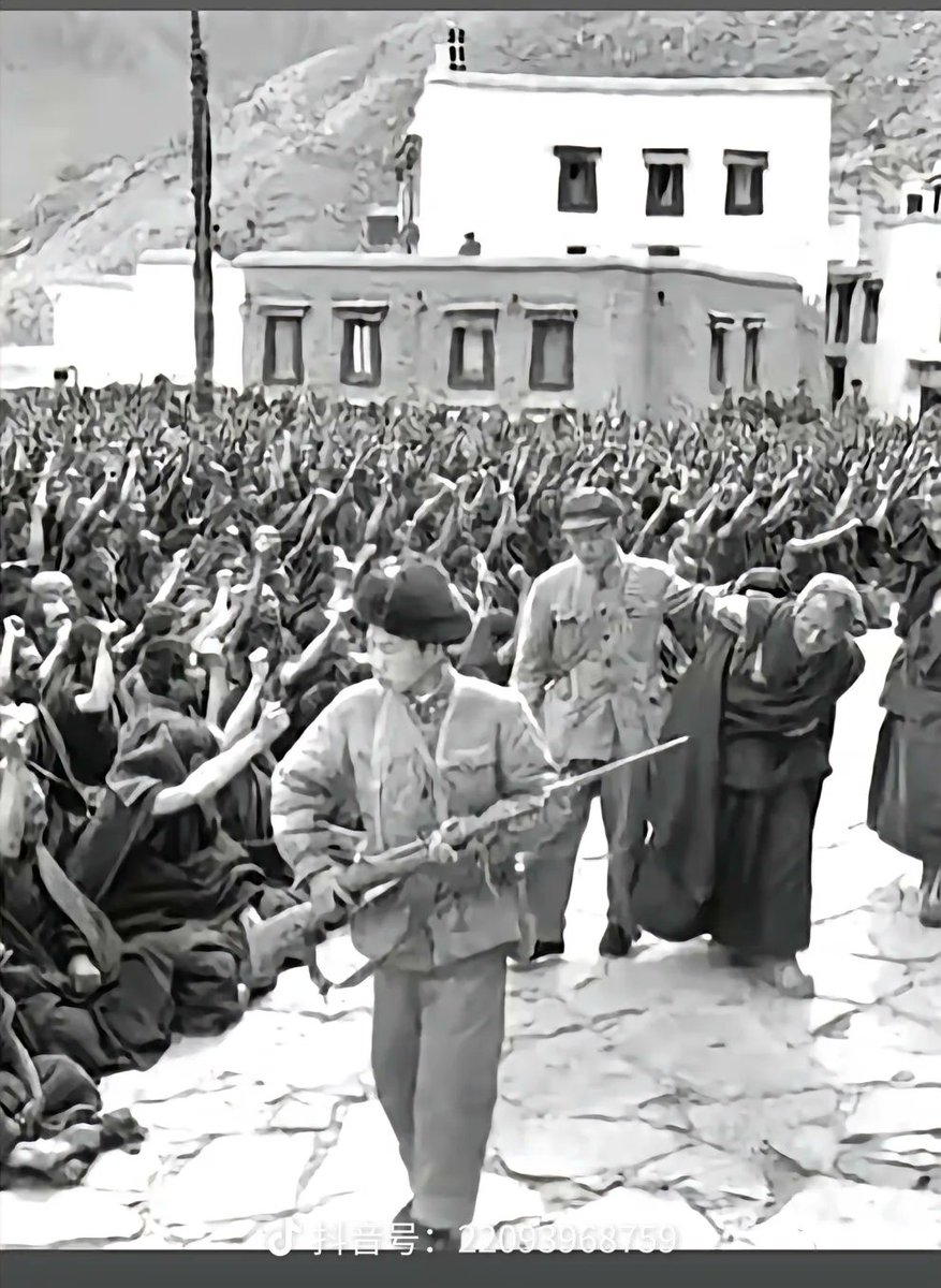 无需多言 tweet media