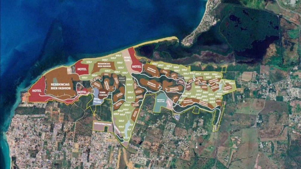 SR. LINCE tweet media