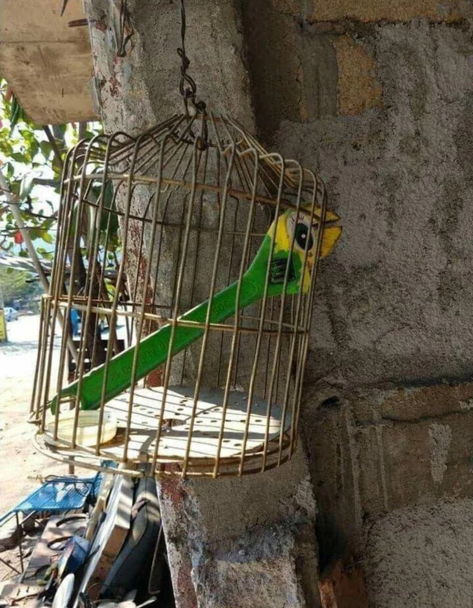 rata porro tweet media