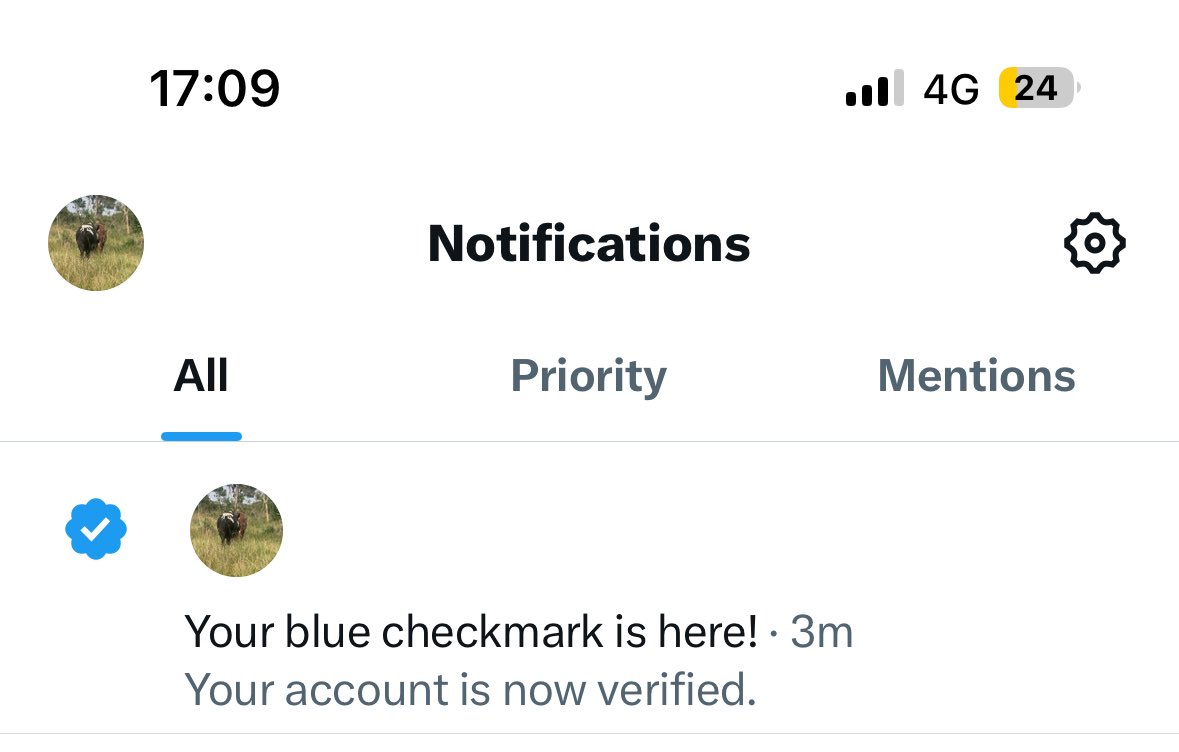 cattle Island 🐄💯 tweet media