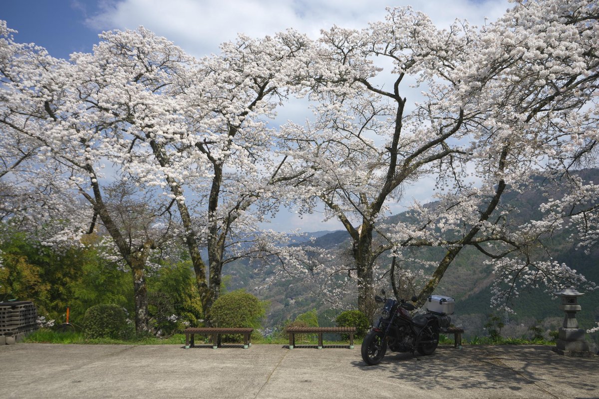 がんちゃん(💉FFMMFF) tweet media