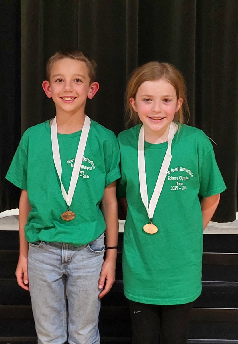 PineLevelES tweet media