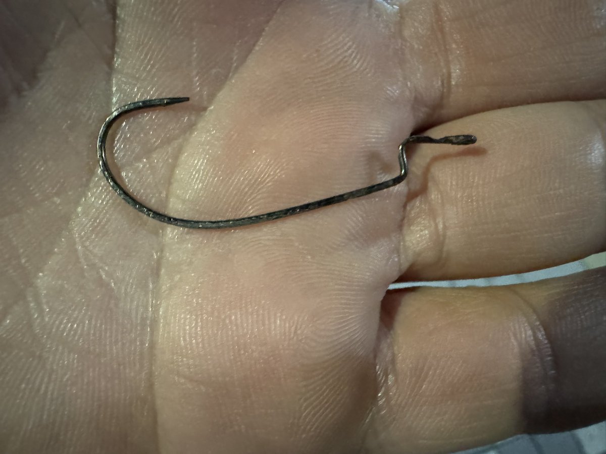 バヤシ tweet media