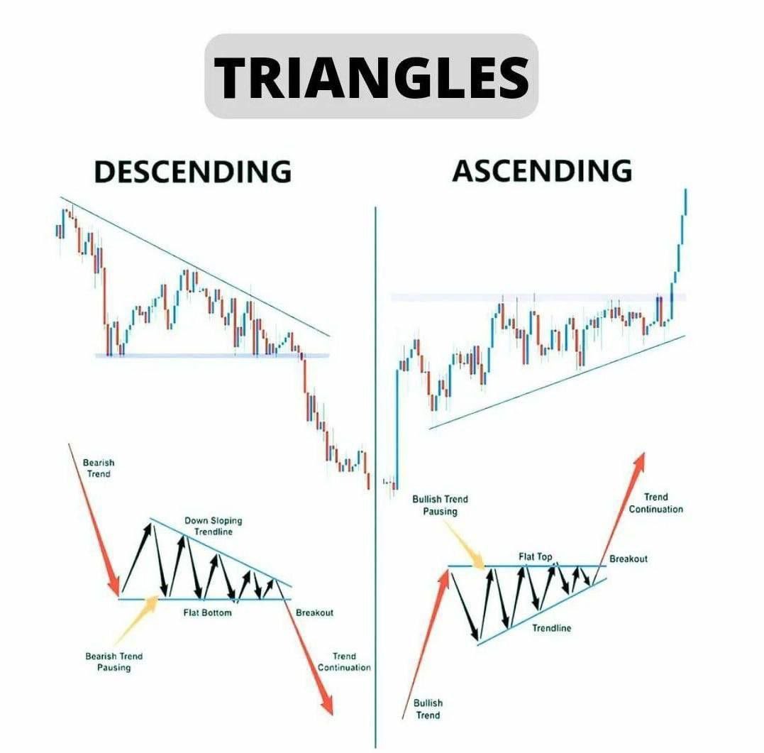 BrendaTrades tweet media