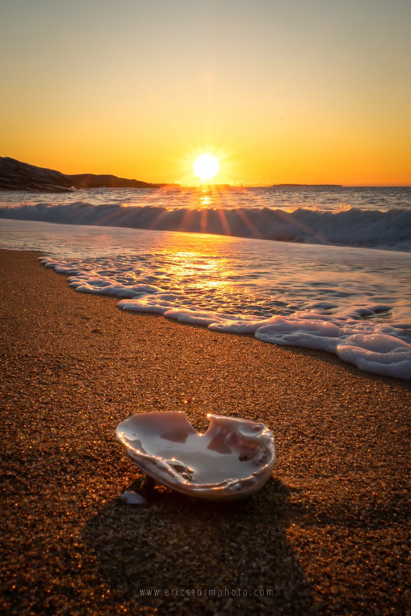 EricStormPhoto tweet media