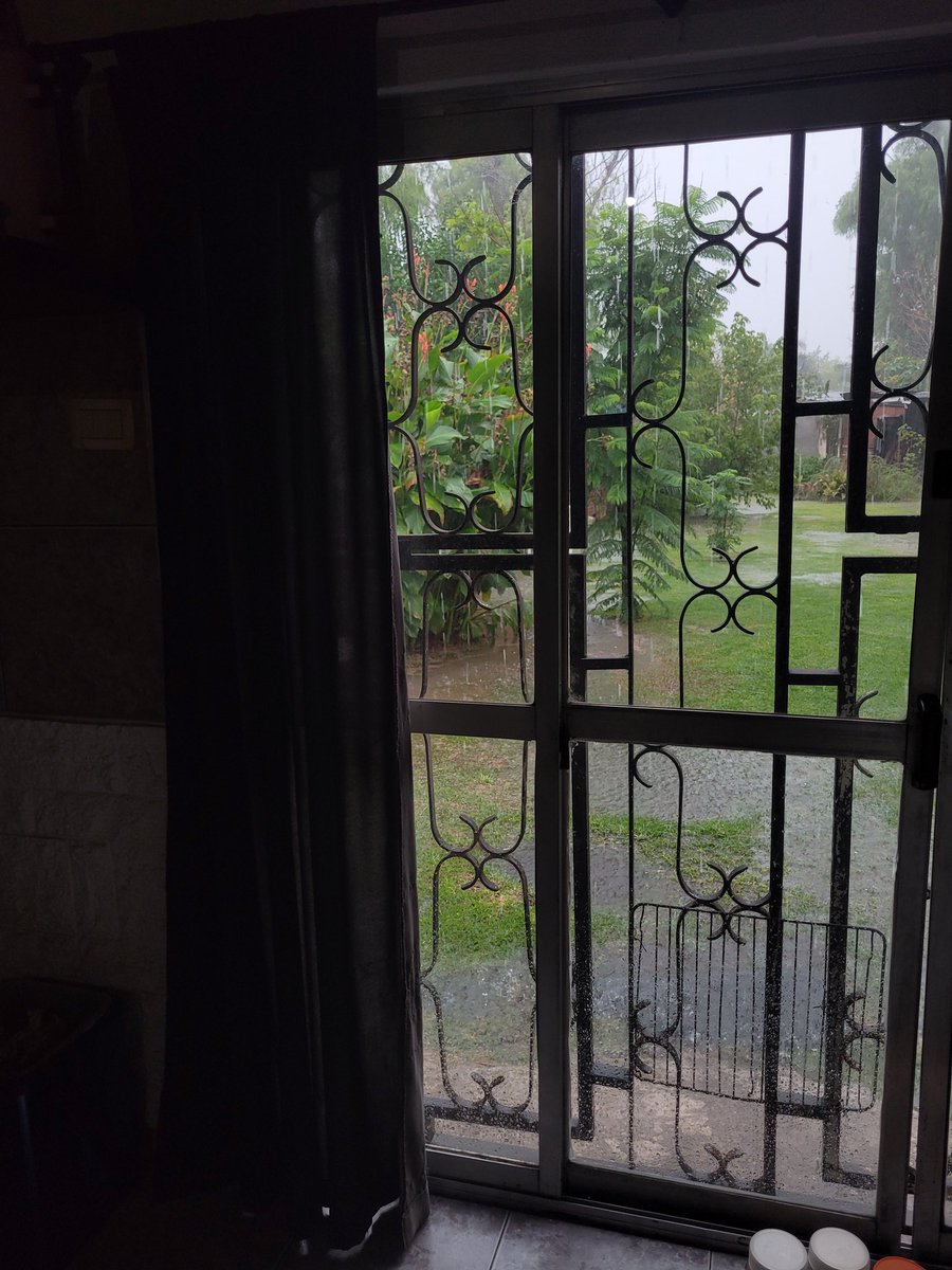 chio ⋆·˚ ༘ tweet media