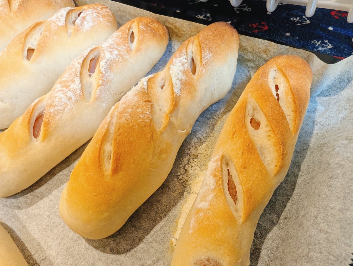 ぶんたとあんず(•ᴥ•ᐡ) tweet media