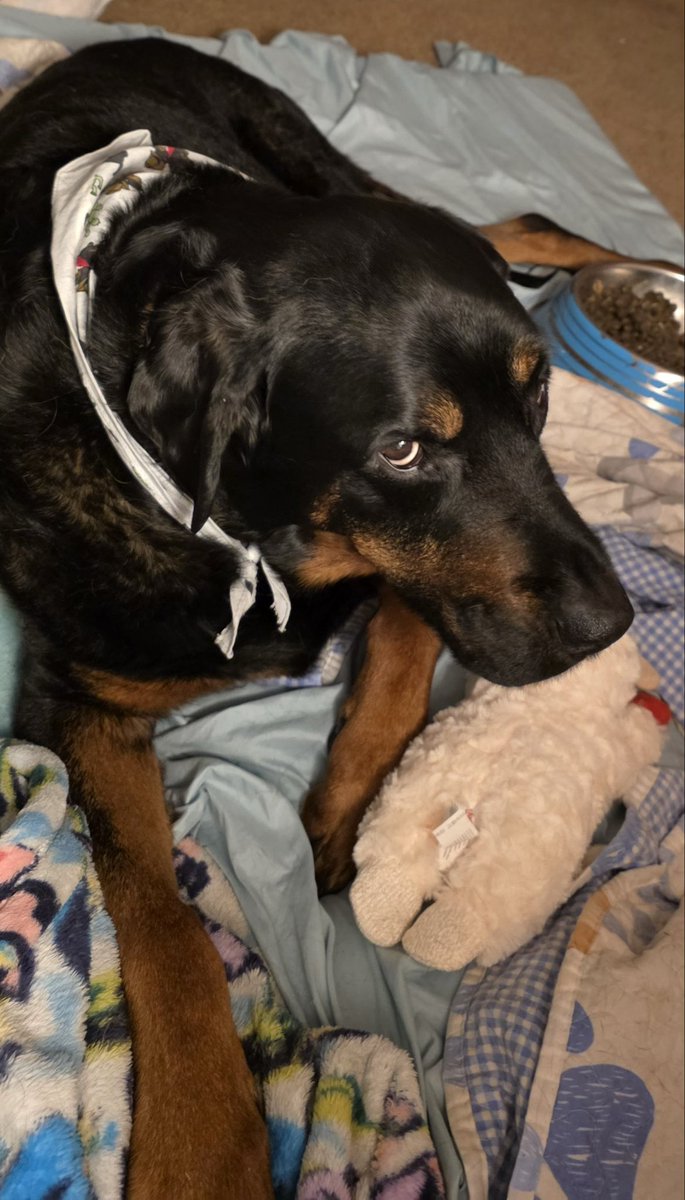 Jo 🇺🇸 tweet media