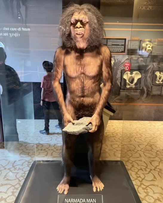 PnutHarambe tweet media