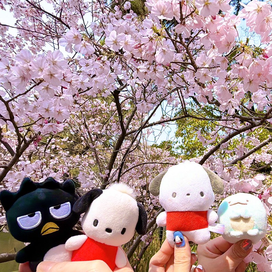 ホー・タオズー_ALLYZ🍑⚡️ tweet media