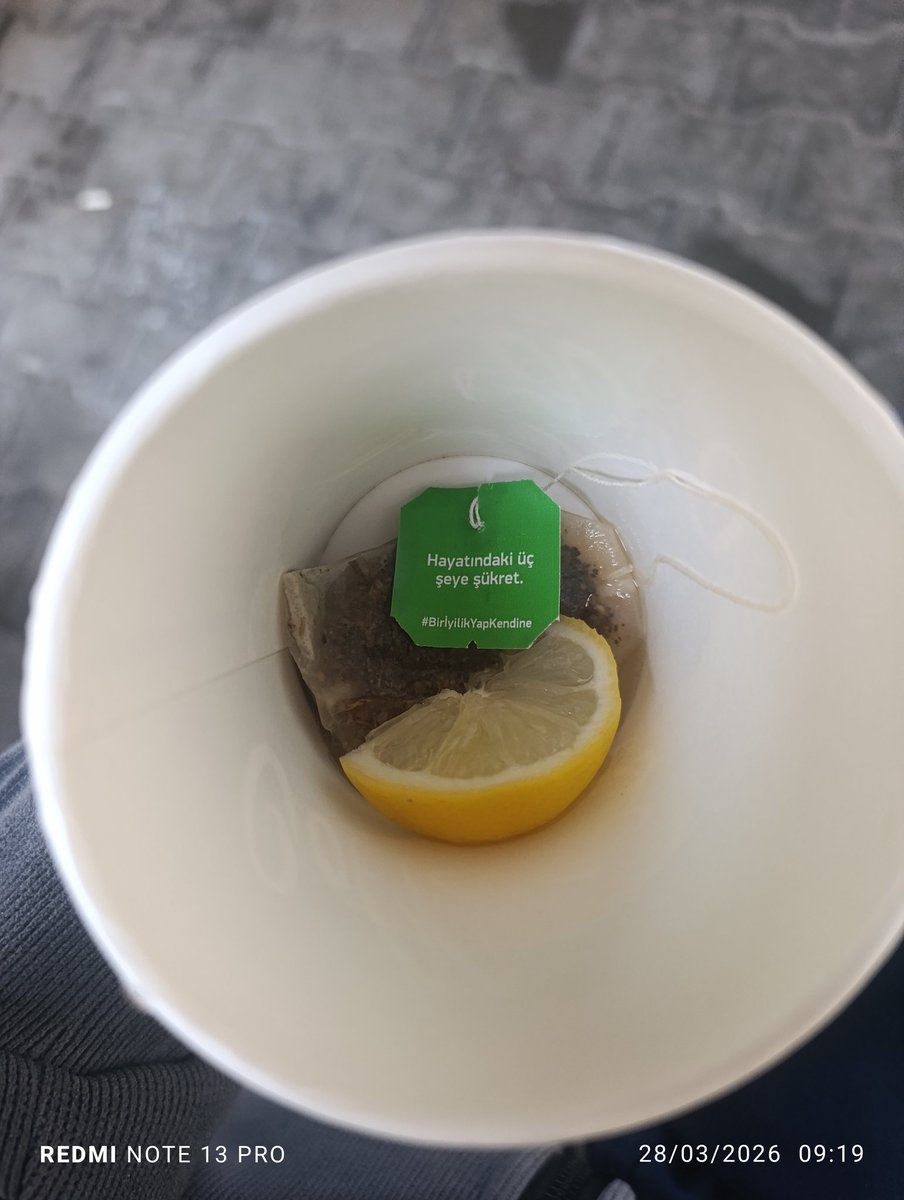 Ihlamur sonrası felsefe 😊