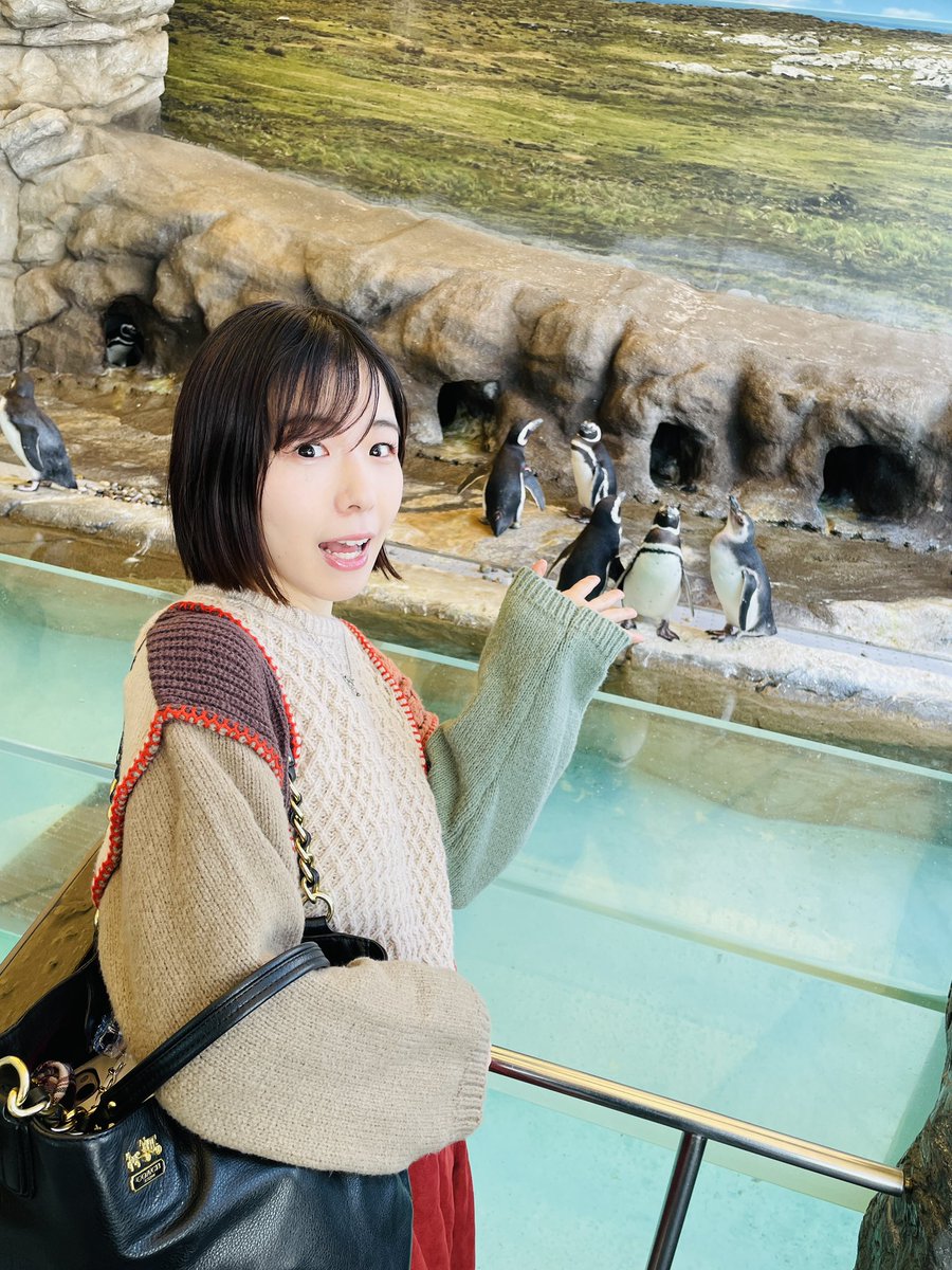 miho 📝3月14日@台湾🇹🇼Moon In Juneライブ予定 tweet media