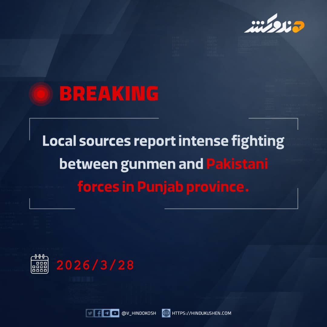 VOH (English) tweet media