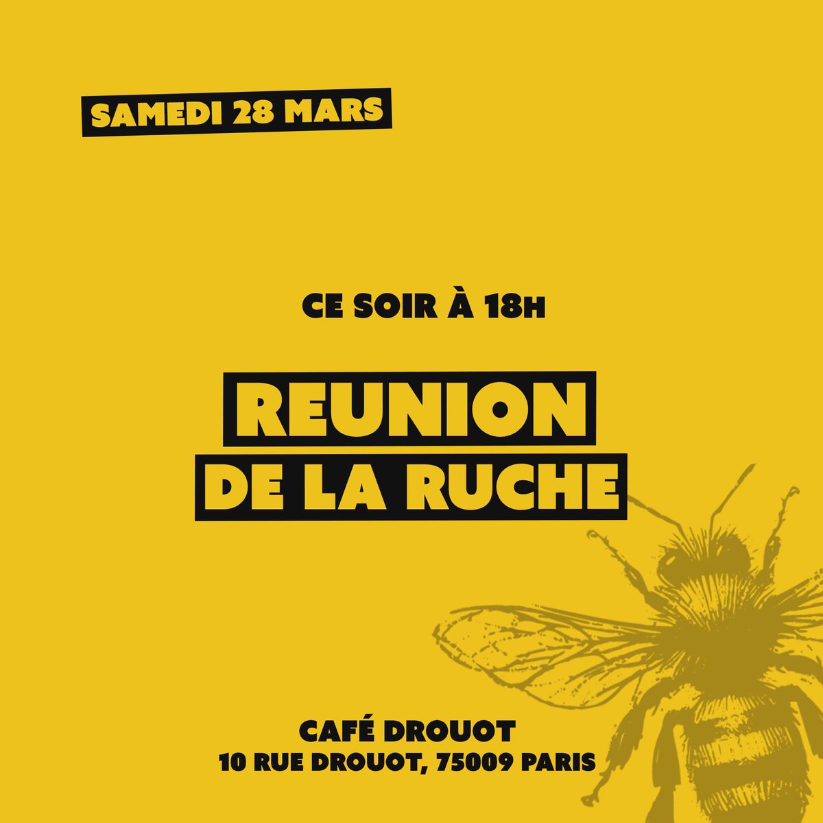 Ruche Paris Médias tweet media