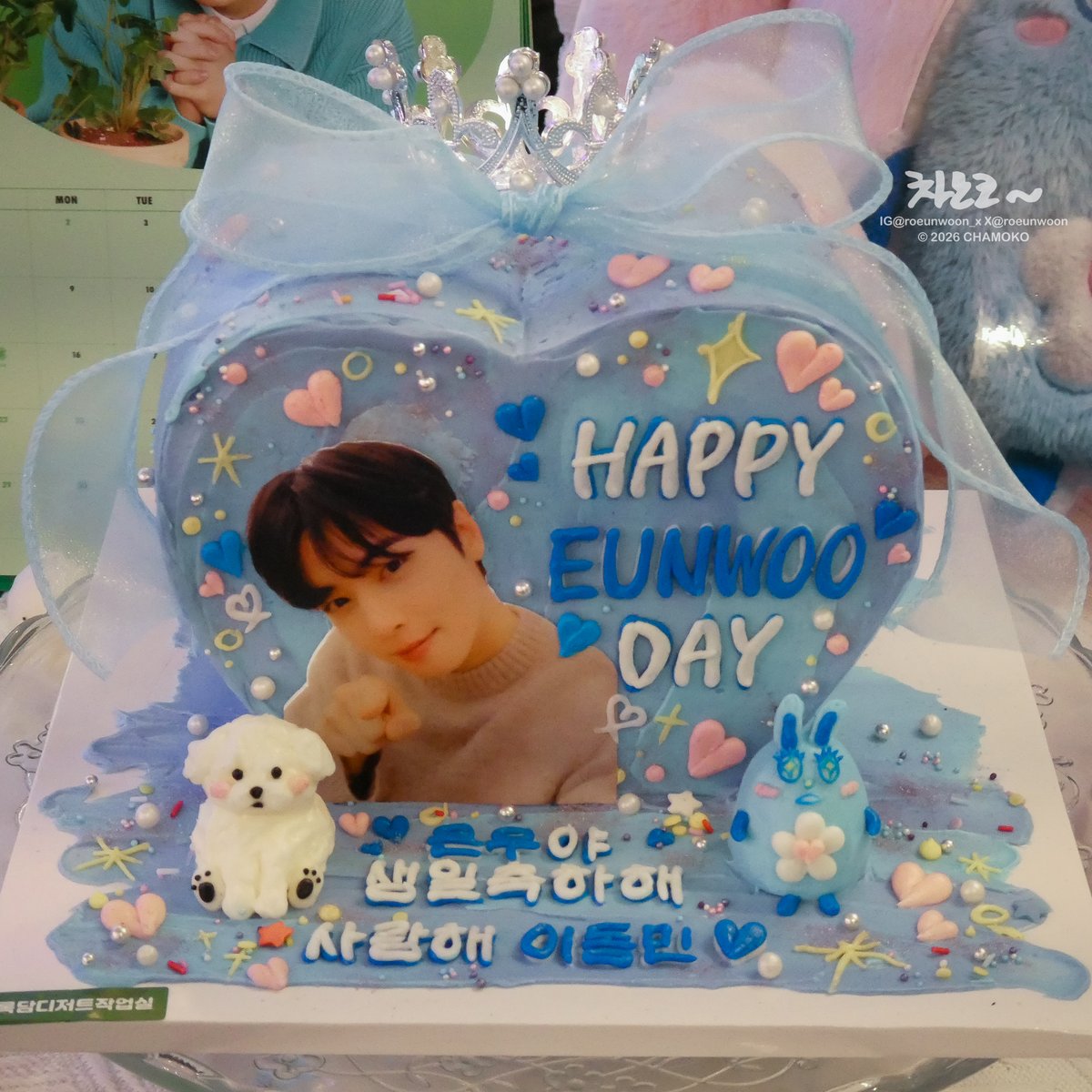 Chamoko🎀 tweet media