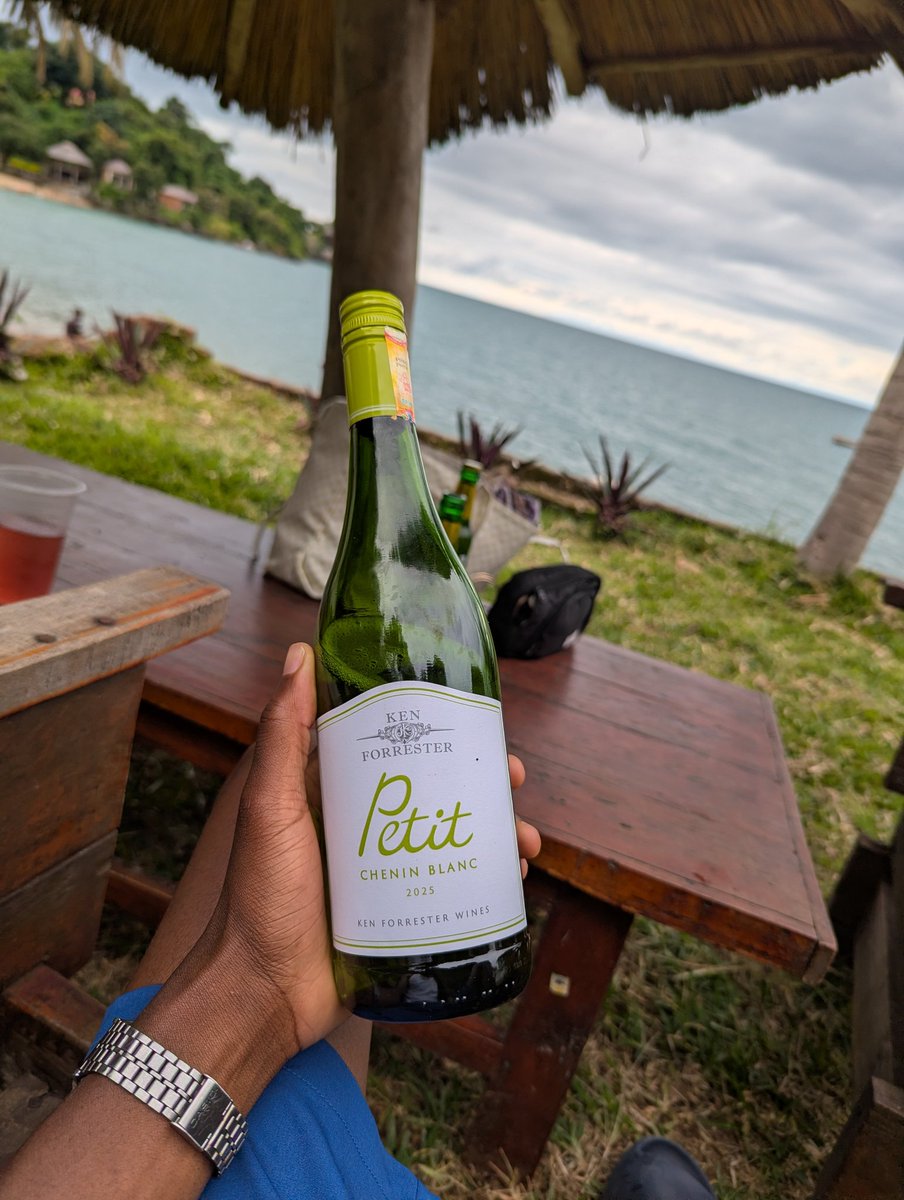 INNOCENT GUY💯 tweet media