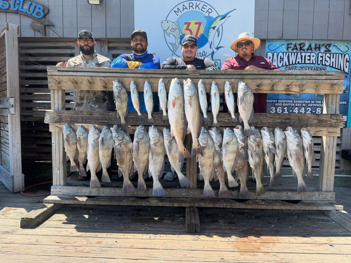 Jon-a-phin🐬 tweet media