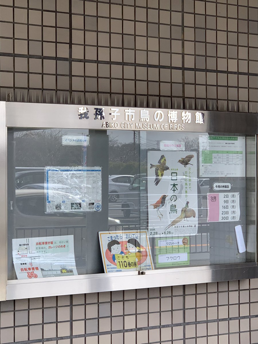 ぽんず@ボタンインコ tweet media