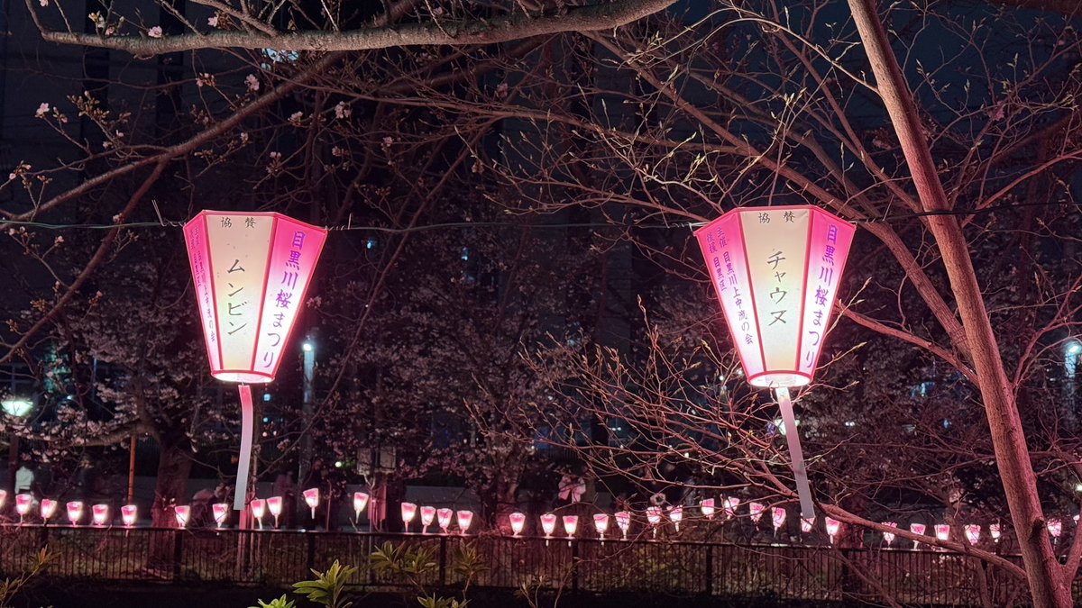 みーぬ tweet media